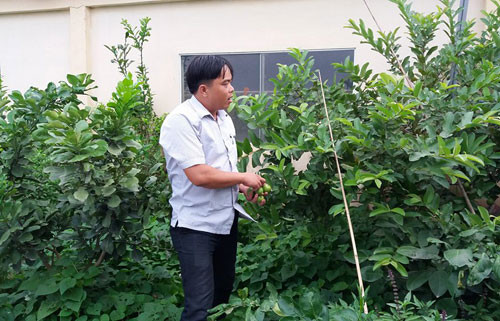 Trang trại xanh, sạch là yếu tố anh Dũng rất quan tâm. Ảnh: T.A