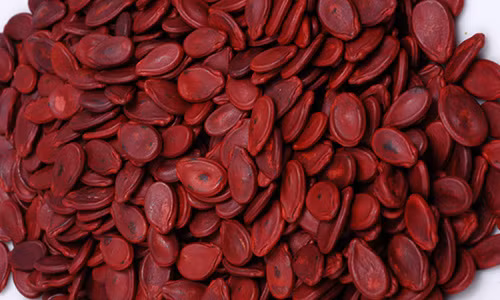 Vi sao tet nha ban khong nen thieu hat dua?