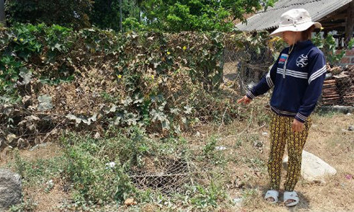 Ky la gieng co phu ho cho nguoi khong may bi tai nan