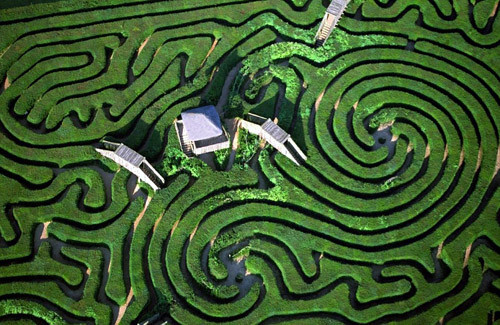 Một trong những mê cung đình đám nhất thế giới chính là Longleat Maze nằm ở Wiltshire, Anh. Chiều dài của mỗi hàng rào cây từ 1,8 km đến 5,4 km.