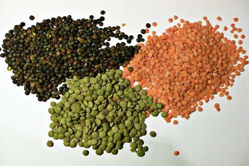 Đậu lăng: Đậu lăng là một nguồn giàu chất kẽm, biotin, sắt và protein. Protein là một chất quan trọng để có một mái tóc khỏe đẹp, giúp tóc mọc nhanh và ngăn ngừa da đầu khô.