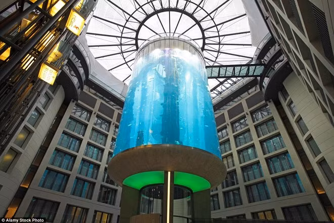 Du khách có thể đi thang máy giữa bể để ngắm nhìn hơn 1.500 cá thể thuộc 97 loài sinh vật biển.