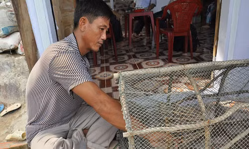 Nghe muu sinh noi day bien