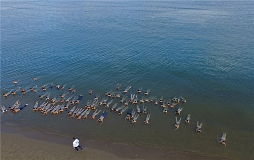 Các học viên phải ngâm mình dưới nước biển lạnh thấu xương…