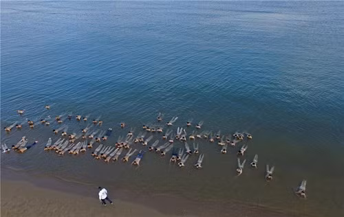 Các học viên phải ngâm mình dưới nước biển lạnh thấu xương…