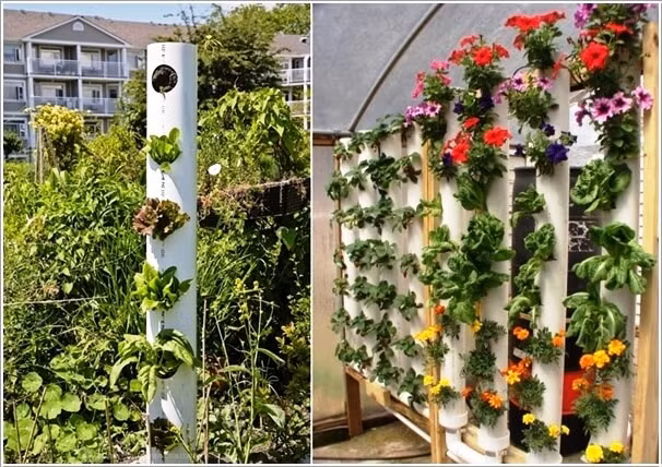 Những khu vườn đứng tuyệt đẹp không kém gì vườn đất.