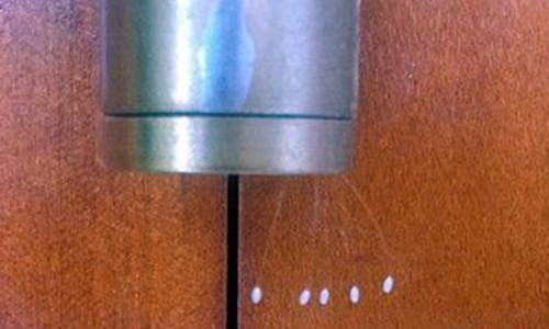 Choang ngop phat hien hoa Uu dam 3000 nam moi no tren...cua