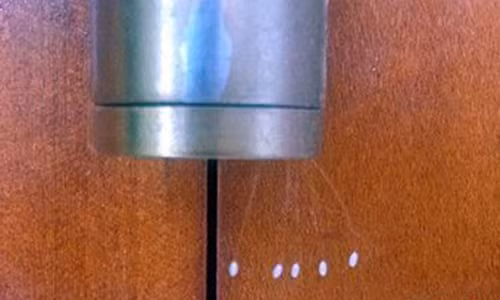 Choang ngop phat hien hoa Uu dam 3000 nam moi no tren...cua