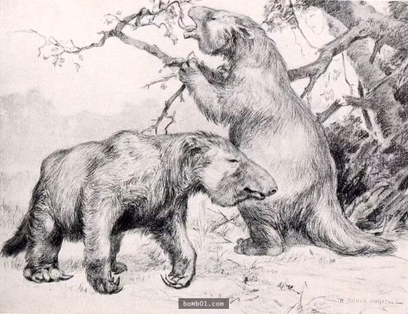 Bi an sinh vat co dai trong duong ham moi phat hien-Hinh-3