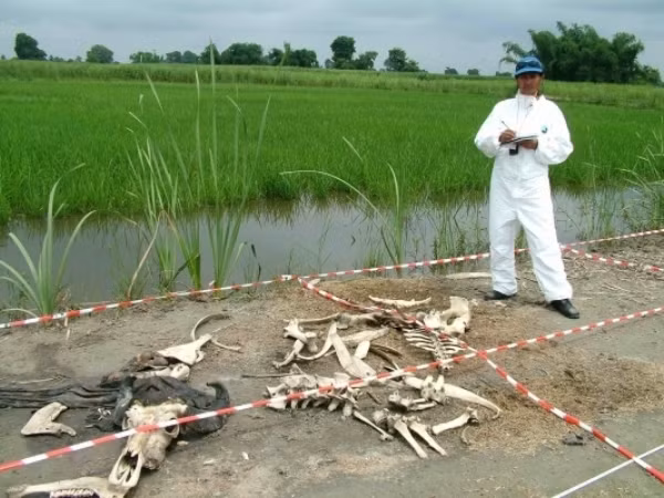 The body farm Nằm ở Knoxville, đây được xem là trang trại kinh dị nhất thế giới khi chứa đầy các xác chết động vật. Khu đất khá rộng và chỉ toàn xác các con vật phân hủy ở những thời kỳ khác nhau. Nơi đây được thành lập cho các nhà nghiên cứu học tập, họ được huấn luyện để học cách phân tích hiện trường. Và không một ai dám đến đây trừ các nhà nghiên cứu.
