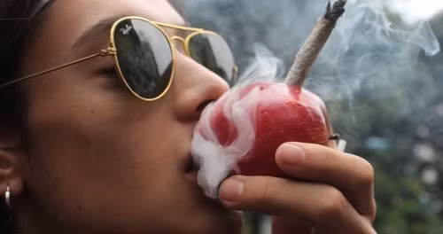 Cấm hút thuốc lá nhưng được phép hút cần Điều kỳ lạ này bắt đầu có hiệu lực từ năm 2008 tại Hà Lan. Bởi vậy cảnh sát nước này đã rất lúng túng khi xử phạt một người đàn ông cho cần sa vào một điếu thuốc và hút.