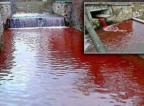 Năm 2013, một con sông nhỏ ở làng Myjava (Slovakia), gần bên giới Cộng hòa Séc đã chuyển dòng nước sang màu đỏ tươi như máu chỉ sau một đêm. Hiện tượng kỳ lạ này đã gây xôn xao dư luận tại địa phương. Nguyên nhân được xác nhận sau đó do hệ thống của lò giết mổ động vật xung quanh khu vực thượng nguồn con sông bị hư hỏng, dẫn đến nước sông bị ảnh hưởng nặng nề.