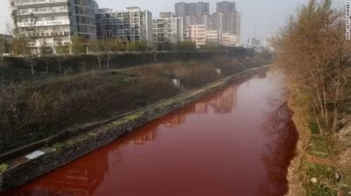 Chính quyền địa phương sau đó đã điều tra nguồn gây ô nhiễm và phát hiện nguyên nhân là do một nhà đang sản xuất giấy gói pháo hoa màu đỏ chuẩn bị dịp Tết Nguyên đán truyền thống Trung Quốc .