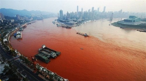 Đã có nhiều lời giải thích cho hiện tượng kì lạ này, còn theo giới chức Trung Quốc, nguyên nhân có thể do nước thải công nghiệp và phù sa từ các trận lũ thượng nguồn là “thủ phạm”.