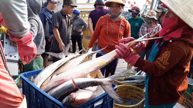 Chuyen khong soc ve thuyen truong ... 11 tuoi-Hinh-2