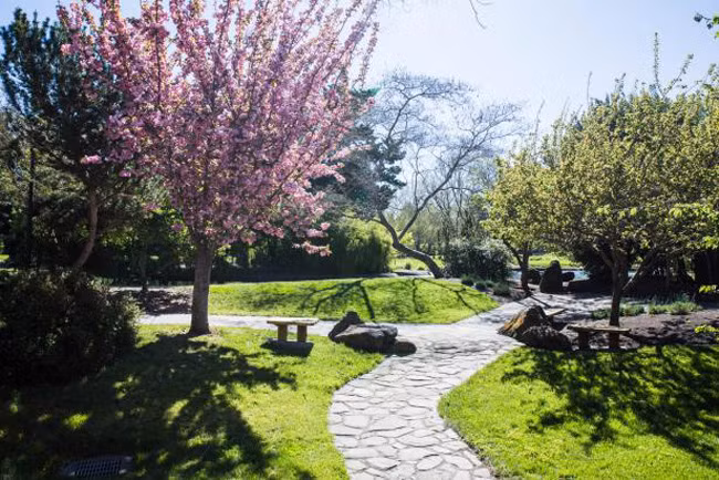 6. Đại học Bang Sonoma - Rohnert Park, California là 1 trong những trường học “xanh” nhất nước Mỹ. 3 hồ nước thuộc khuôn viên trường là nơi sinh sống của nhiều loài chim ở địa phương. Những con đường mòn dẫn sinh viên và du khách đi dạo trong rừng cây.