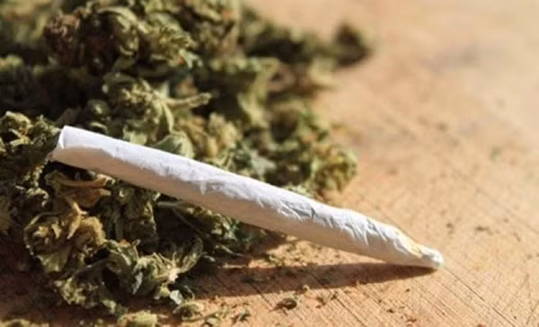 3 thanh nien suyt chet vi ngo doc co My-Hinh-2