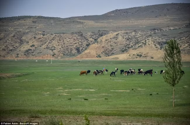 Từ trong toa tàu, du khách có thể chiêm ngưỡng thảo nguyên rộng lớn ở Mông Cổ.