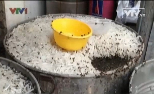 Cảnh tượng ruồi nhặng, côn trùng trên những miếng mứt ngâm đường này được VTV ghi lại ở làng Xuân Đỉnh từ năm 2013. Không ai có thể không lạnh xương sống khi xem hình ảnh này. Ảnh cắt từ clip của VTV năm 2013.