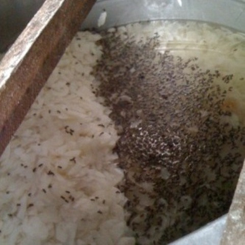 Báo giới trong nước gọi đây là "thùng mứt bí nấu với ruồi". Ảnh: Người đưa tin