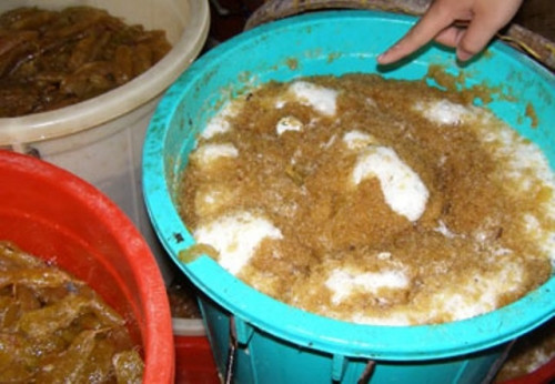 Chậu ngâm mứt đã sên bị mốc xanh mốc đỏ. Hình ảnh chụp tại 1 cơ sở sản xuất mứt Tết ở cư xá Đường sắt (phường 1, quận 3, TPHCM). Ảnh: Pháp luật TPHCM