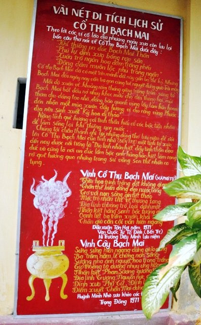 Những câu thơ về Bạch mai.