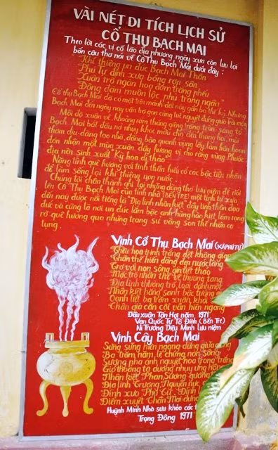 Những câu thơ về Bạch mai.