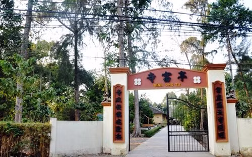 Trải qua bao biến cố của lịch sử, cây mai vẫn đứng vững, cành lá phát triển xanh tốt. Thấy mai ra hoa đẹp và tỏa hương thơm nên nhiều người tìm cách nhân giống như: chiết, ghép cây đem đi nơi khác trồng nhưng vẫn không sống. Theo người dân địa phương, vào năm Mậu thân 1968, xung quanh đình Phú Tự bị dội trúng 3 trái bom xăng, nhưng cây Bạch mai chỉ bị cháy sém lá và sau đó phát triển tươi tốt hơn. Năm 2014, Nhà nước đã công nhận cây bạch mai ở đình Phú Tự là “Cây Di sản quốc gia”