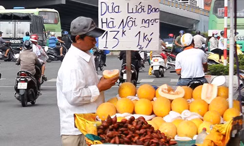 Khoảng 11.000 tấn dưa lưới vàng Trung Quốc được gắn mác "dưa Việt" được dân mua về ăn hàng ngày.