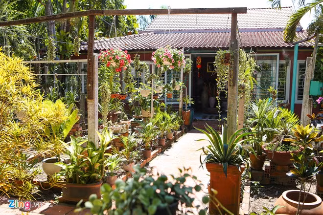Một góc sân sau của ngôi nhà trồng rất nhiều cây cảnh, phong lan và các loại dây leo, tạo không gian thoáng đãng.