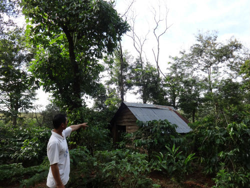 Dang nguoi yeu cho dam ban yeu rau xanh ham hiep