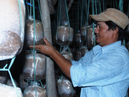 Anh nông dân Phan Xuân Quyền. (Ảnh: Tiền Phong)