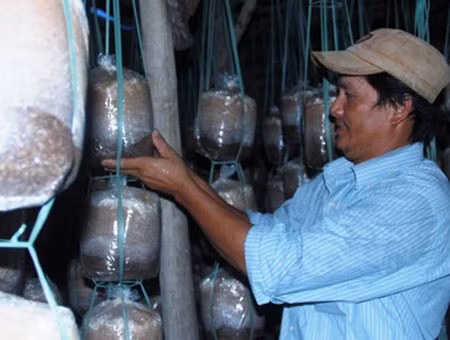 Anh nông dân Phan Xuân Quyền. (Ảnh: Tiền Phong)