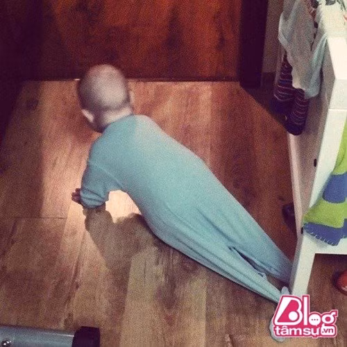 Thế này thì còn bò đi đâu được nữa.