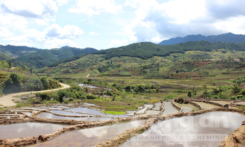 Những ruộng bậc thang bạt ngàn.