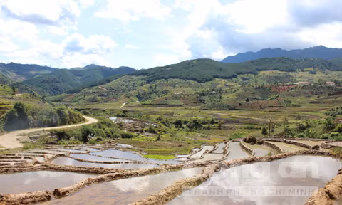 Những ruộng bậc thang bạt ngàn.
