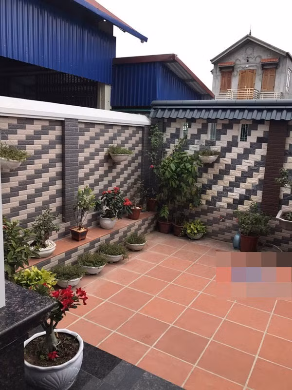 Khuôn viên tuy không quá rộng nhưng cũng được nam danh hài trang trí và chăm chút cẩn thận với nhiều chậu cây xanh.