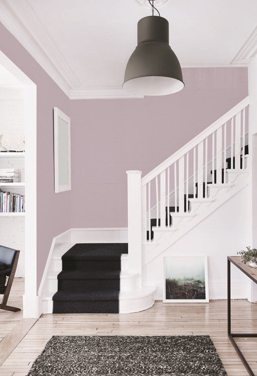 Màu dâu Cloudberry Sự kết hợp tím và hồng sẽ là hoàn hảo cho phong thủy năm 2017 với ngôi nhà của bạn. Bạn sẽ cảm thấy thư thái, được giải phóng khỏi áp lực cuộc sống hàng ngày khi bước vào căn phòng có màu dâu cloudberry. Màu này sẽ như một "liều thuốc an thần" hoàn toàn "không tác dụng phụ". Thêm vào đó, nó cũng cực kì hợp với đồ nội thất trắng và đen.