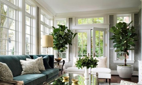 Phong thuy nha cua: 10 kieu “dai sat” can tranh