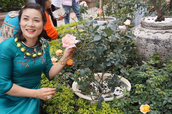 Thậm chí có cả những quy định như "cấm chạm vào hoa, vi phạm phạt 200.000đ", nhưng dường như không hiệu quả cho lắm.