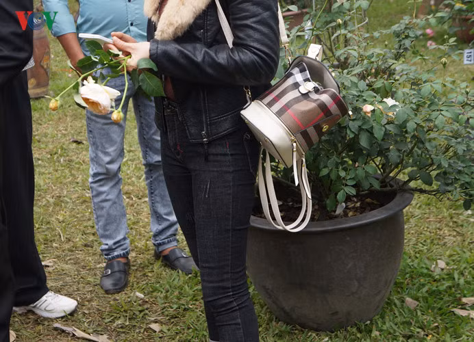 Hay thậm chí bẻ cả cành hoa.