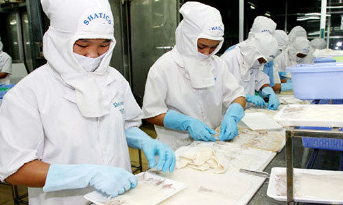 Công ty XNK Thủy sản Nam Hà Tĩnh đang trong tình trạng hoạt động cầm chừng vì thiếu nguyên liệu, sản phẩm không tiêu thụ được. Ảnh: T.L