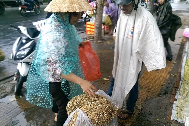 Cay bui vung que thanh 'than duoc' tren pho Sai Gon-Hinh-2