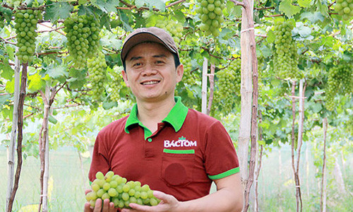 Thạc sĩ Trần Mạnh Chiến – Chủ chuỗi cửa hàng rau, thực phẩm sạch Bác Tôm.