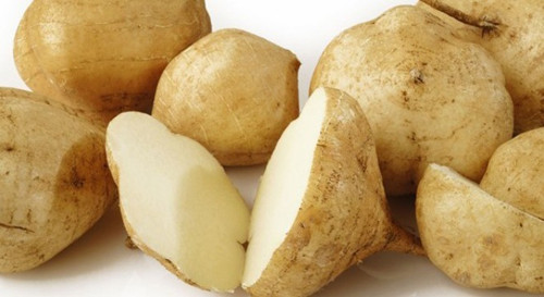 Không nên ăn củ đậu cả ngày. Nhiều người nghĩ rằng củ đậu giàu chất xơ, ít năng lượng và giàu viatamin nên có thể ăn cả ngày, thay thế cho các thực phẩm giàu chất béo và năng lượng khác. Tuy nhiên, củ đậu không thể cung cấp hết những dưỡng chất mà bạn cần. Chính vì thế, việc chỉ ăn củ đậu trong ngày sẽ làm cho bạn thiếu chất dinh dưỡng, gây nên tình trạng uể oải, mệt mỏi và không thể làm việc được.