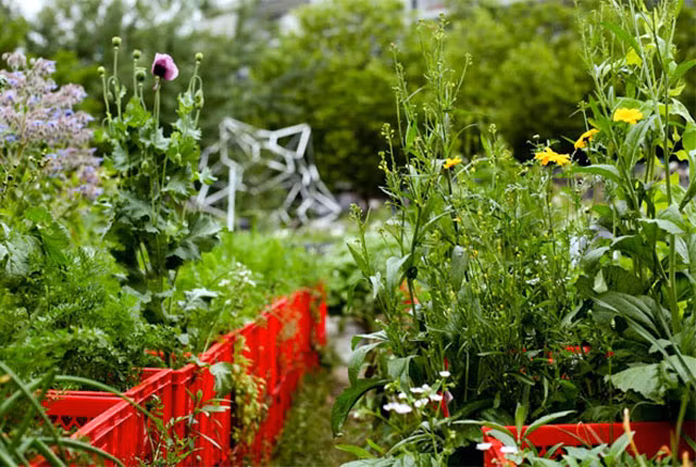 Ngay bên cạnh Prinzessinnegarten là một quán cà phê và quán bar, nơi thu mua một số loại nông sản nhất định từ nông trại để chế biến đồ ăn, thức uống cho thực khách.