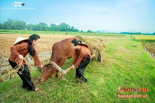 Chăn trâu, cắt cỏ... là công việc thường ngày của hai cô gái.