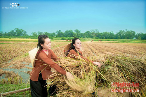 Bộ ảnh trên cánh đồng Thanh Chương tái hiện những hoạt động thường ngày của hai cô gái, vì thế, người xem có cảm giác chân thực, gần gũi.