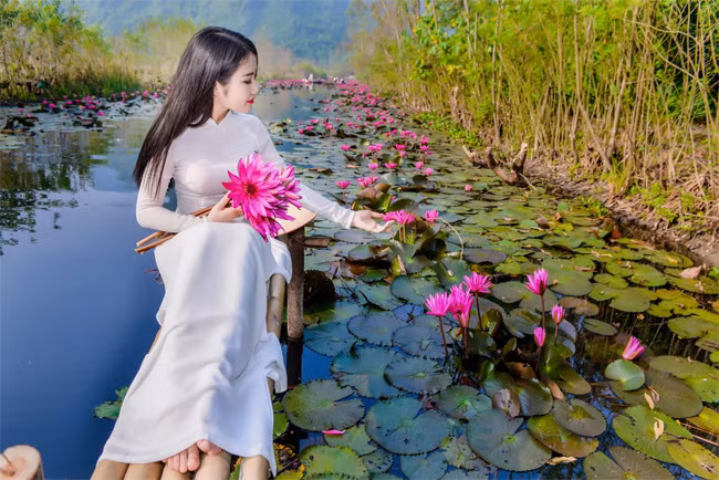 Tiết thu dịu dàng càng khiến khung cảnh trở nên thơ hơn.