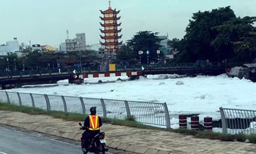 Bot noi trang xoa phu kin tren kenh Tau Hu